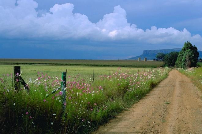 harrismith_farm_road